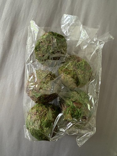 Decorative moss balls - moss, 5
