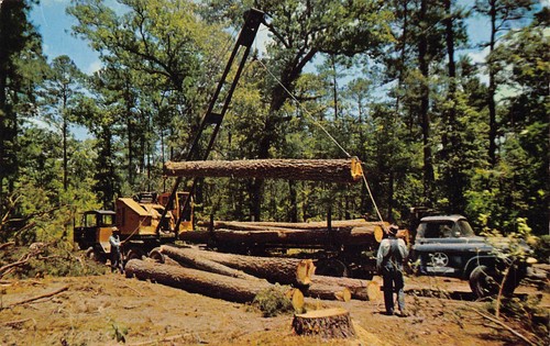 Loading logging truck - loading,