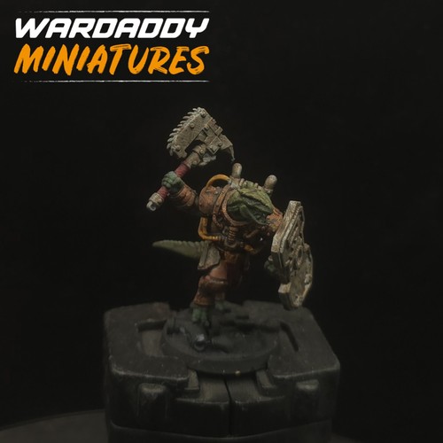 Pro painted dungeons - pro,