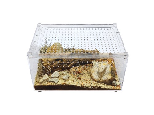 Herpcult acrylic reptile - acrylic,
