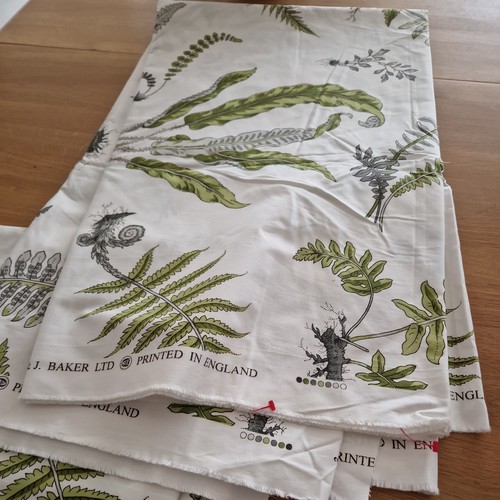 Baker iconic fern - &, print