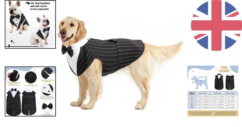 Stylish large dog tuxedo with - dog,