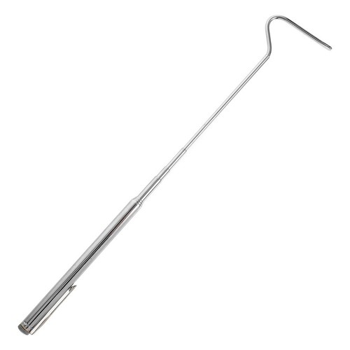 Animal catching hook snake - animal,