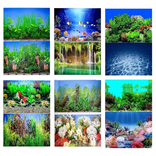 Aquarium fish tank background - aquarium,