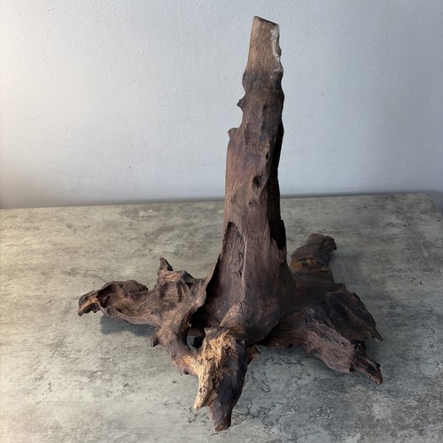 Driftwood piece pointed - ,