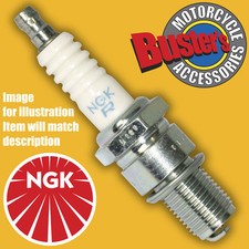 Genuine NGK Spark Plug