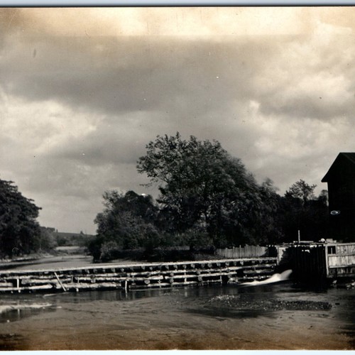 C1910s timber log - timber,