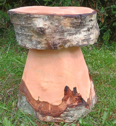 Mushroom shaped solid wood - , log