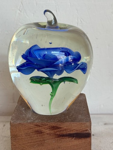 Apple paper weight - weight, with