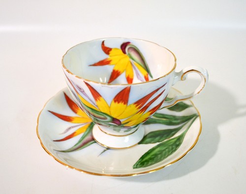 Vintage bird paradise - bird, of