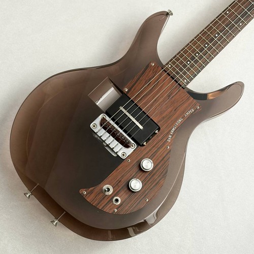 Ampeg dan armstrong adag - ampeg,