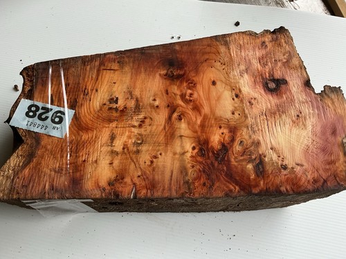 Pippy yew wood burr - pippy,