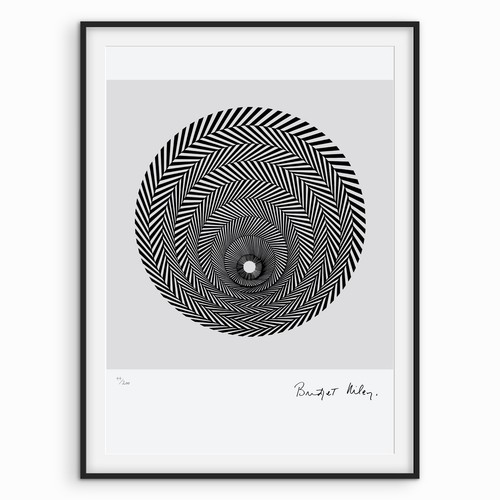 Bridget riley signed blaze - signed, 1