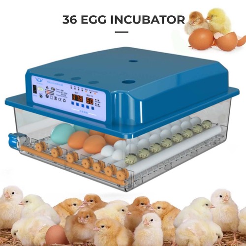 36egg incubators for hatching - incubators,