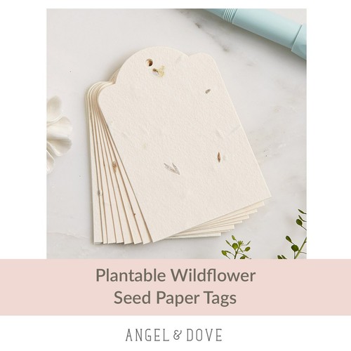 Angel dove plantable - dove,