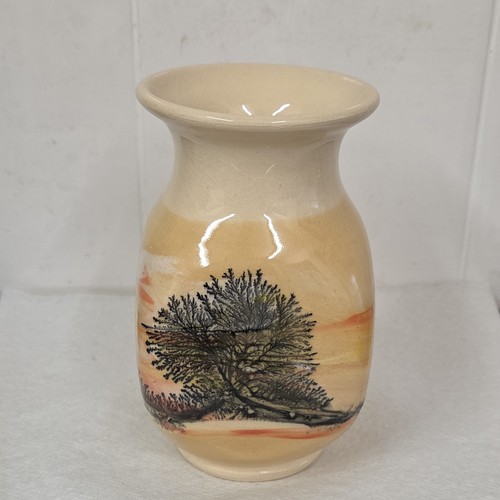 Boscastle pottery mocha ware - pottery,