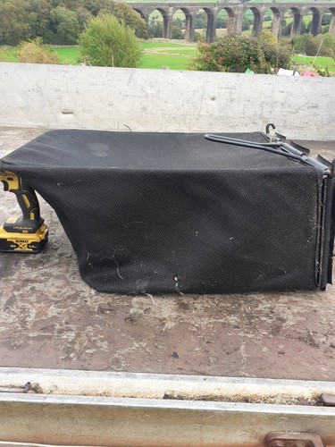Snapper pedestrian mower grass