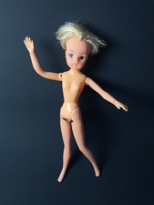 Pedigree Sindy ballerina short