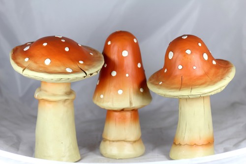 24cm toadstools magical - toadstools,