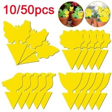 50 PCS Fruit Fly Sticky Traps
