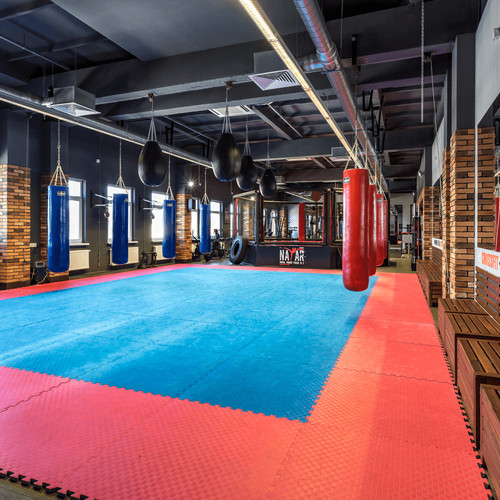 Premium reversible mma - premium,