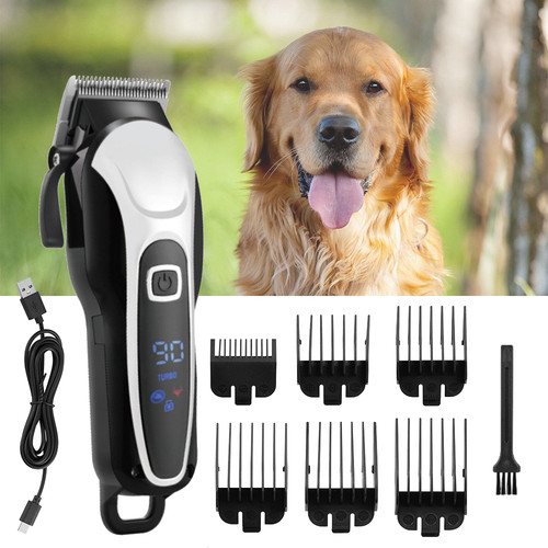 Pet dog grooming - pet,