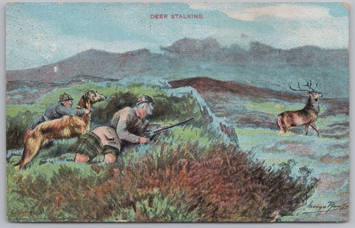 Deer stalking postcard - deer,