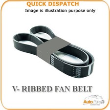 74PK0955 V-RIBBED FAN BELT FOR