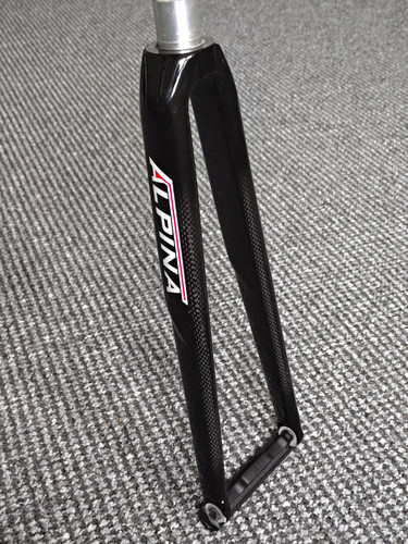 Alpina carbon track - 1/8,