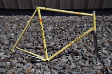 Casati Monza Gold Line S Frame