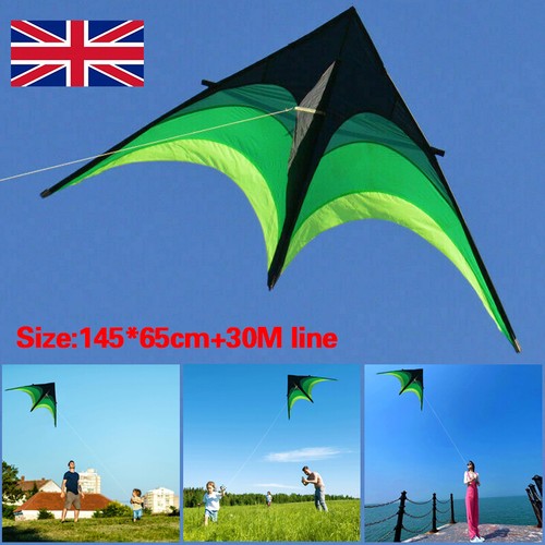 Large delta kite for kids - kite,