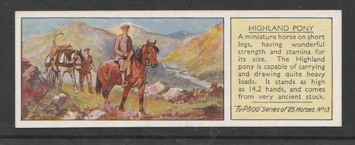 1938 typhoo horses - typhoo,
