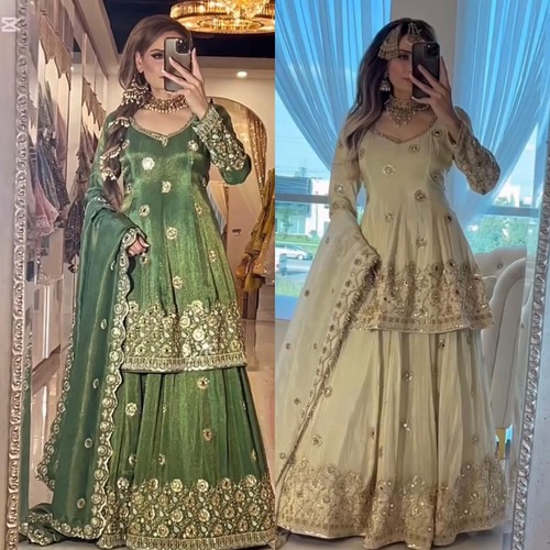 Party lehenga choli - choli, indian