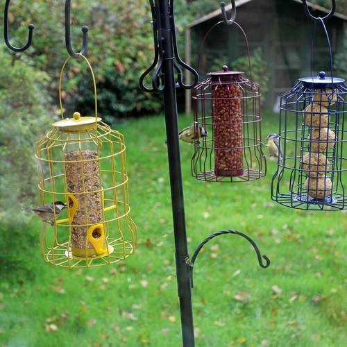 Wild bird feeder - wild, 3pcs