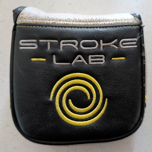 Odyssey stroke lab - stroke,