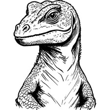 'Komodo Dragon' Unmounted