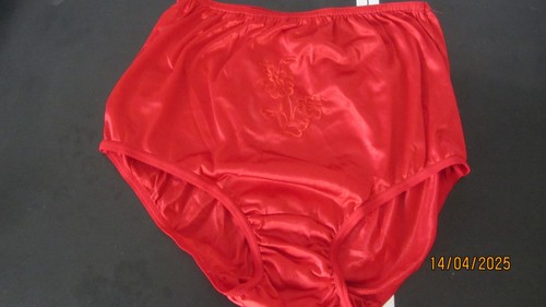 Vintage nylon knickers - vintage, w