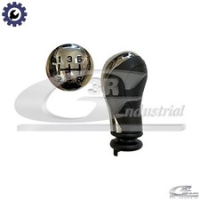 GEAR SHIFT LEVER KNOB 25200