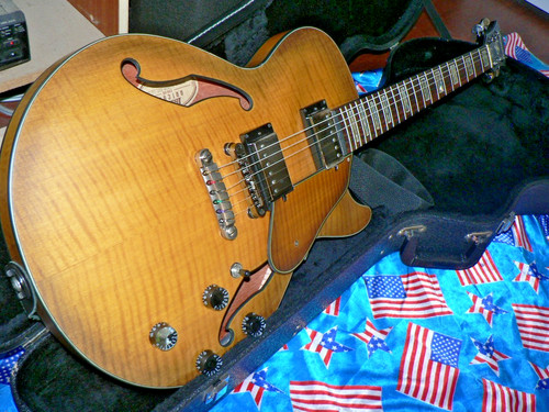 Beautiful ibanez artcore - ibanez,
