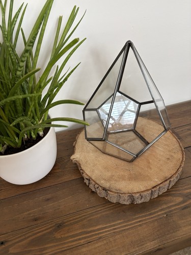 Geometric glass terrarium - glass,