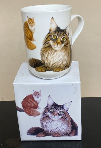 Maine coon cat - coon, cashmere