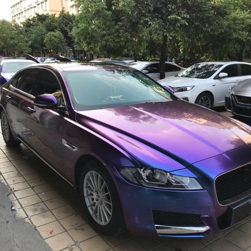 Glossy chameleon purple blue - chameleon,