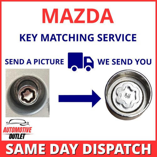 Security master locking wheel - security,