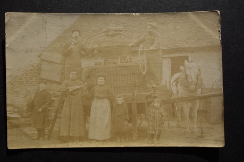 Family workers grape press - family,,