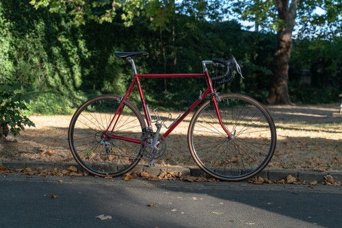 58cm raleigh lightweight - raleigh,