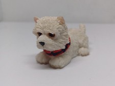 West Highland Terrier wearing