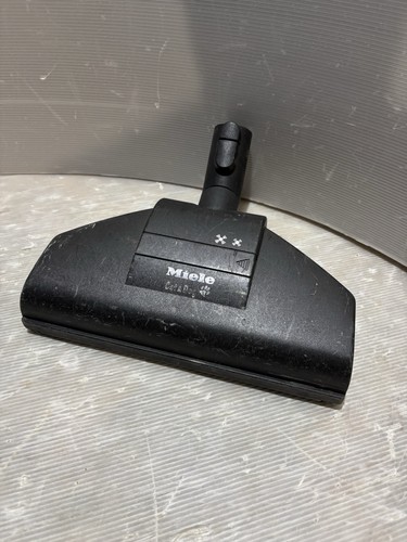 Miele cat dog - miele,
