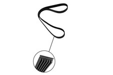 V-RIBBED BELT 02.19.392