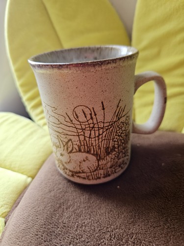 Vintage dunoon ceramic - dunoon,