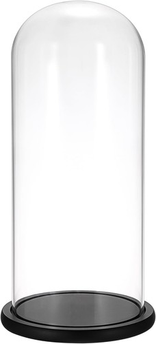 Glass tall cloche - glass,
